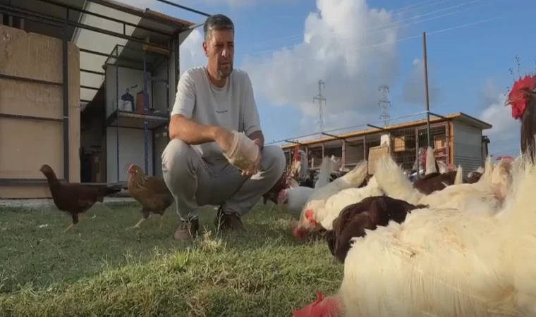 Emekli uzman çavuşun hayvan sevgisi çiftlik kurdurdu