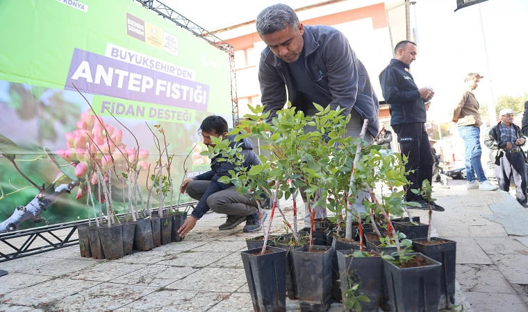 Büyükşehir’den Antep fıstığı fidanı desteği